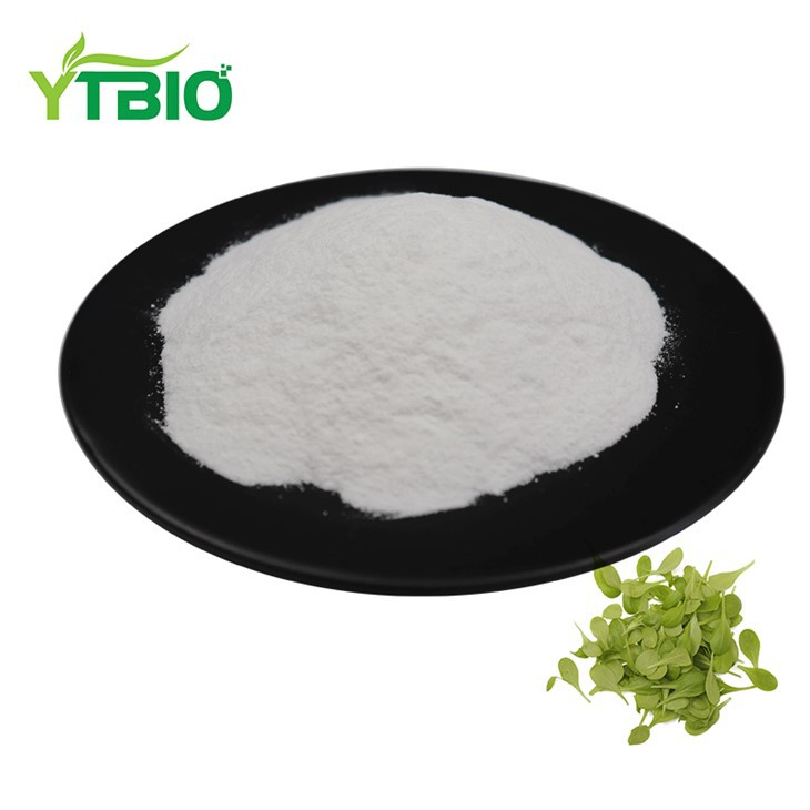 Andrographolide Powder